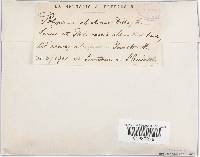 Trichaptum abietinum image