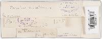 Trichaptum abietinum image
