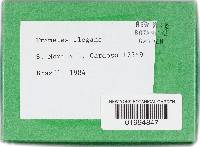 Lenzites elegans image