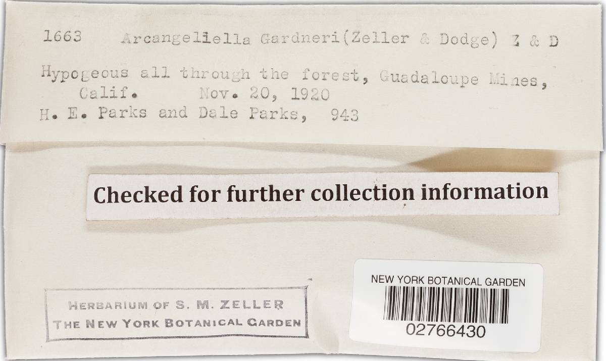 Zelleromyces gardneri image