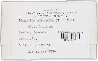 Diaporthe strumella image