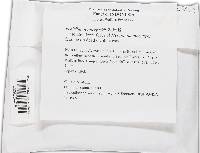 Penicillium miczynskii image