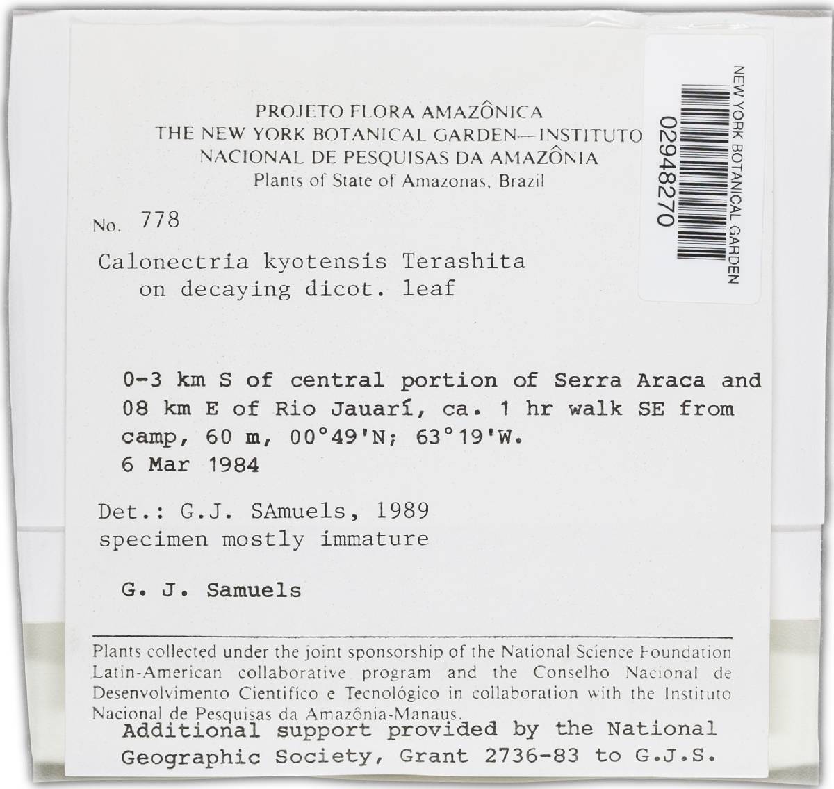 Calonectria kyotensis image