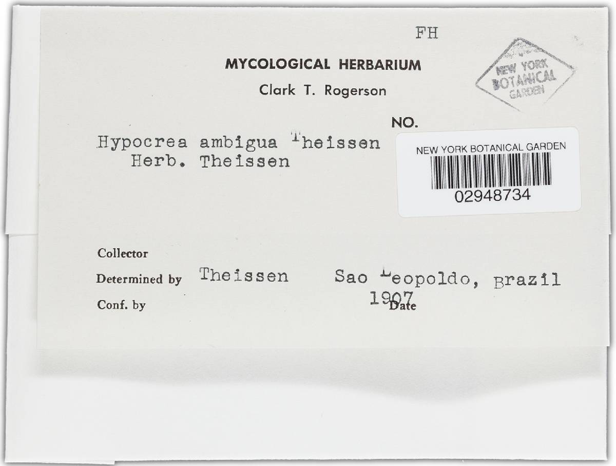 Hypocrea ambigua image