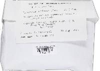 Hypomyces hyalinus image