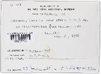 Haematonectria haematococca image