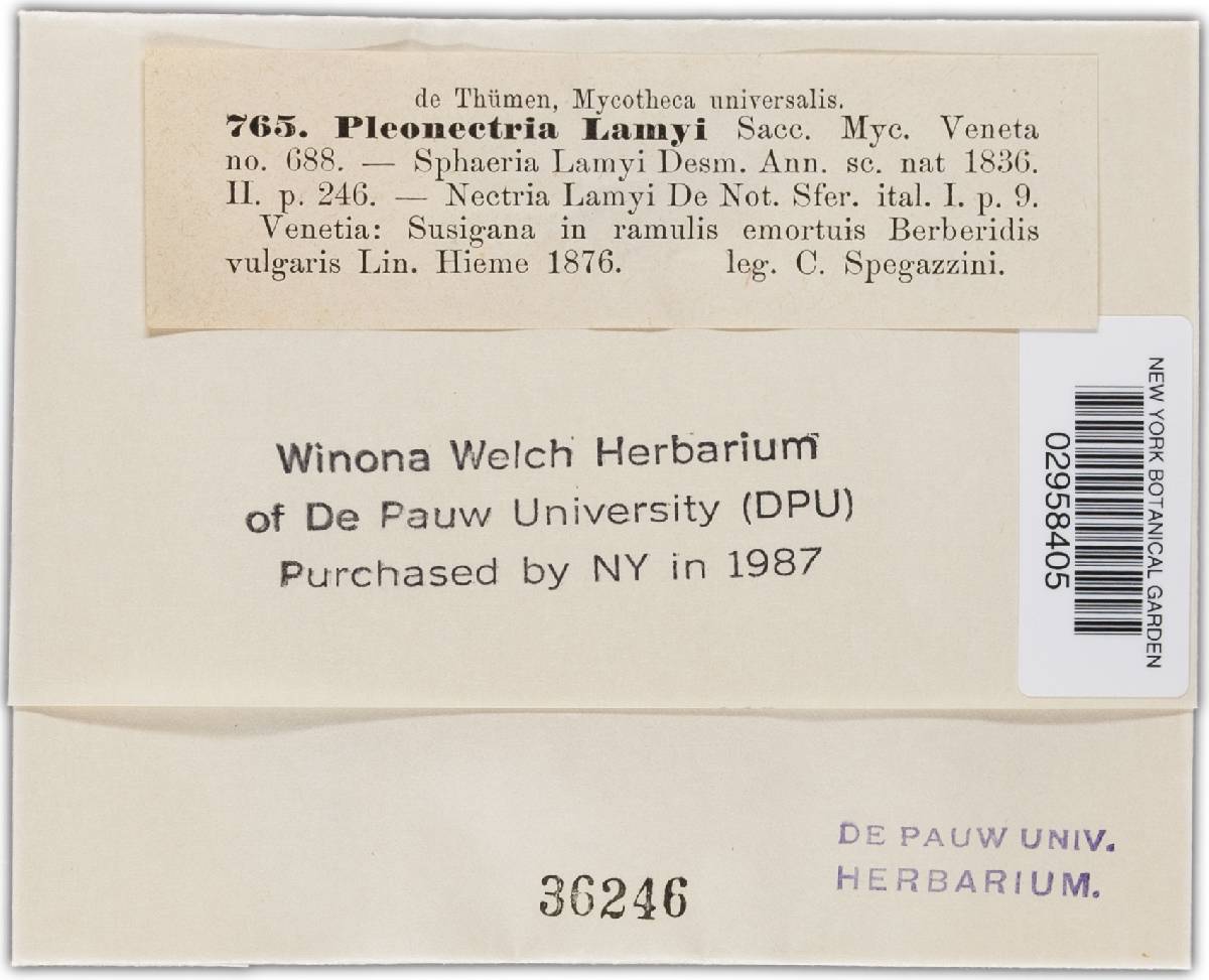 Nectria lamyi image