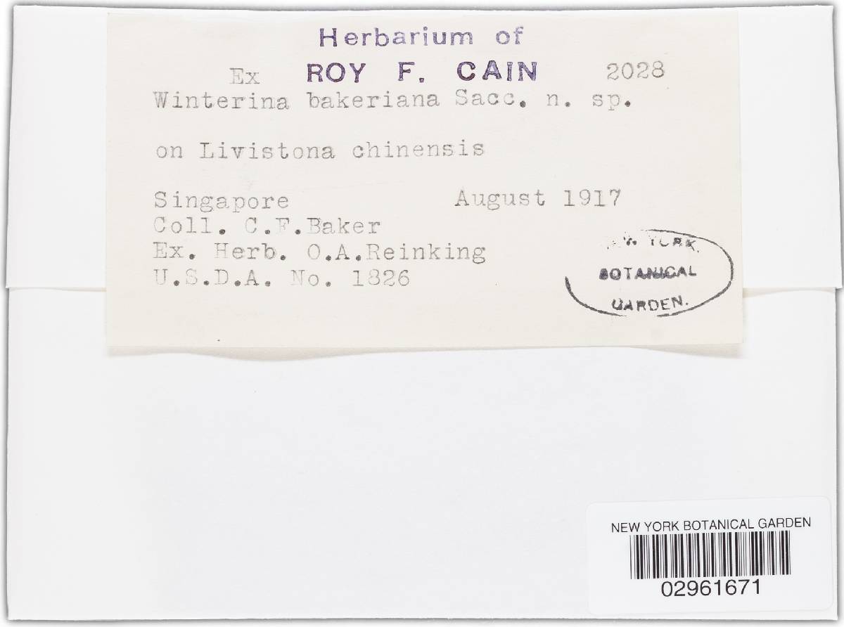 Astrosphaeriella bakeriana image