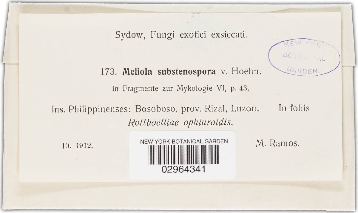 Meliola substenospora image