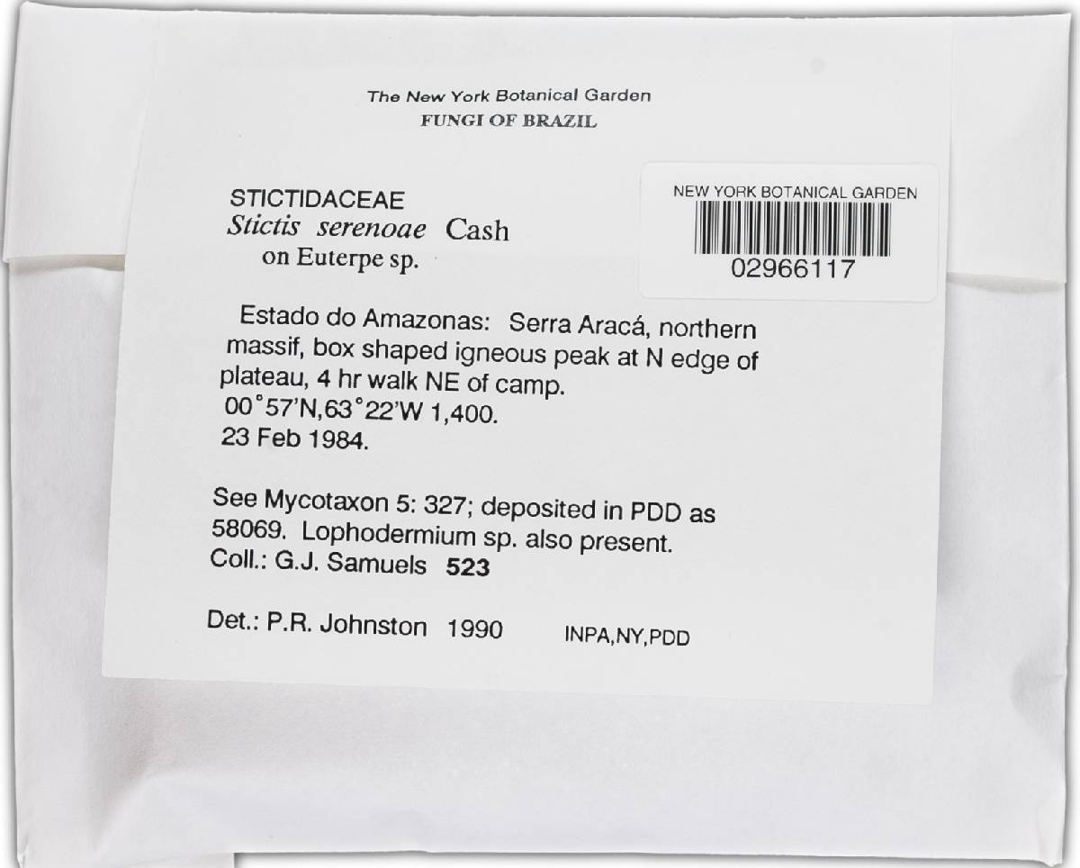 Stictis serenoae image