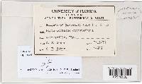 Guignardia bidwellii image