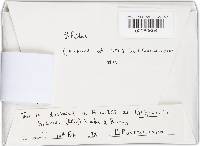 Guignardia bidwellii image