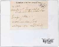 Guignardia bidwellii image