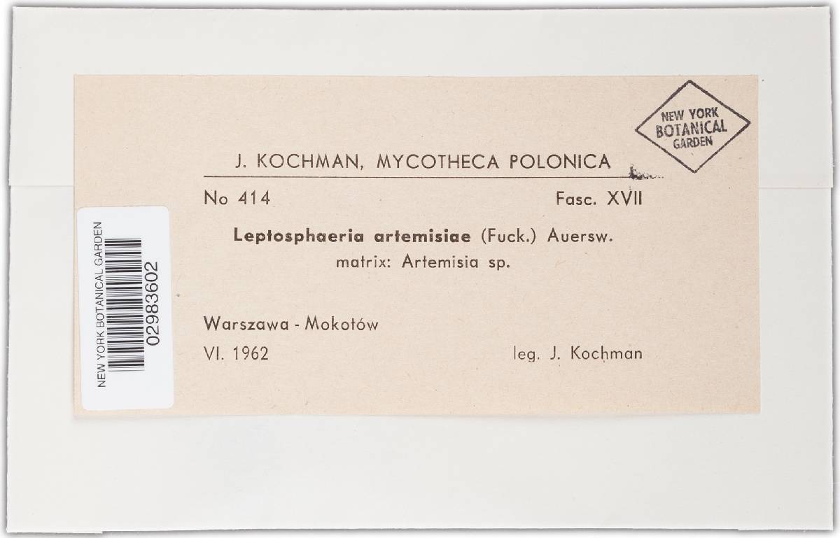 Leptosphaeria artemisiae image