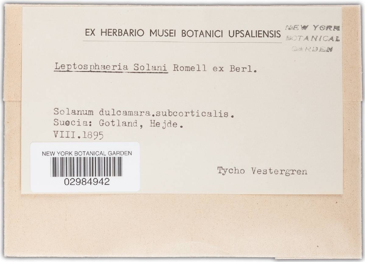 Leptosphaeria solani image