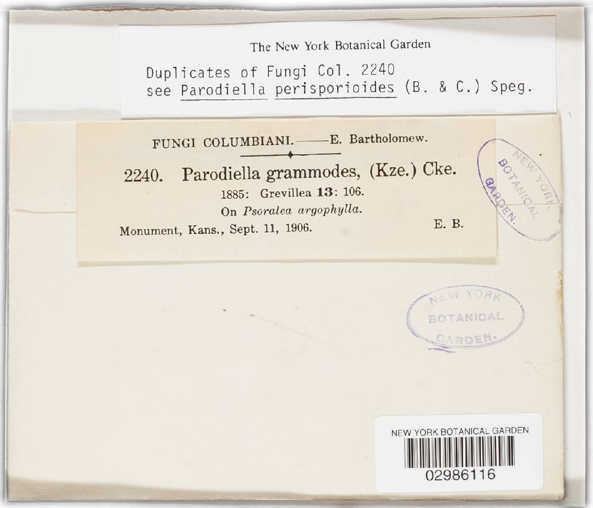 Parodiellaceae image