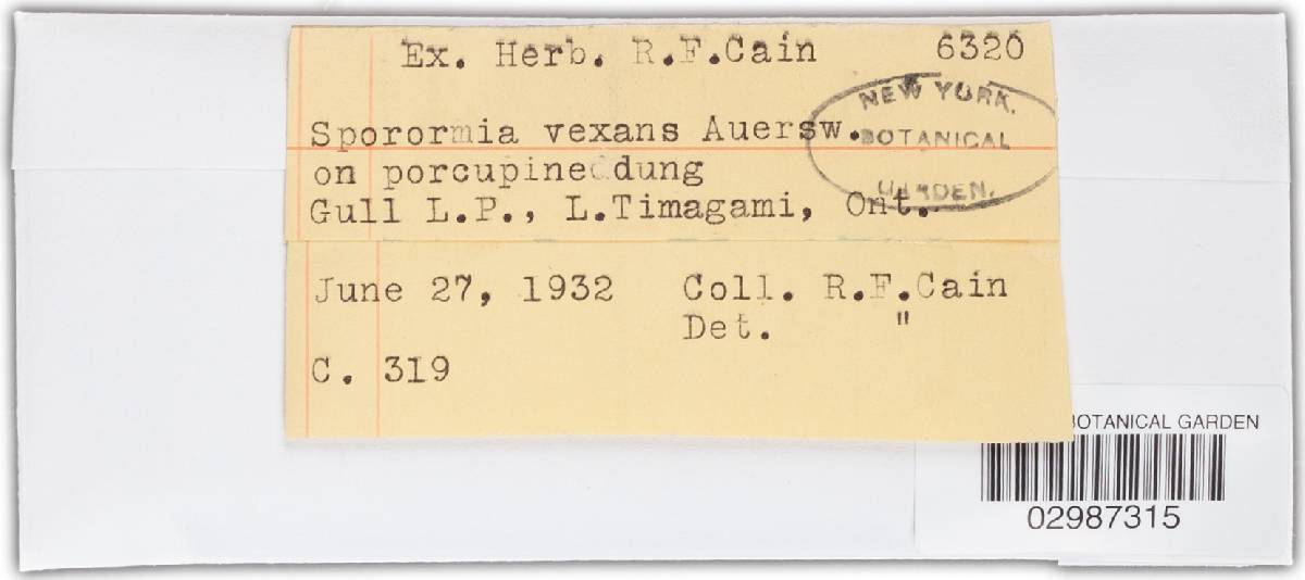 Sporormia vexans image