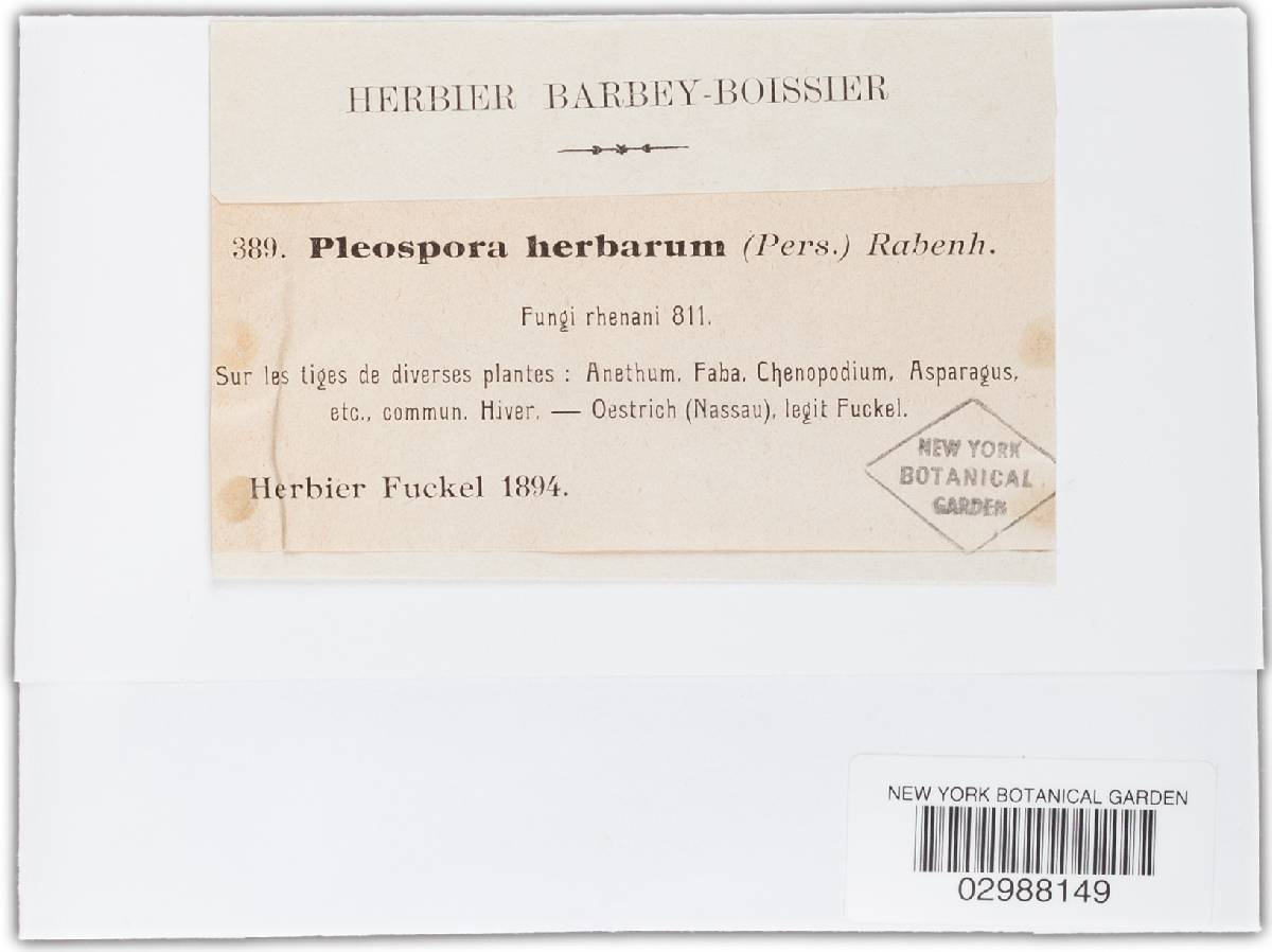 Pleospora herbarum image
