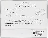 Thaxteriella pezizula image