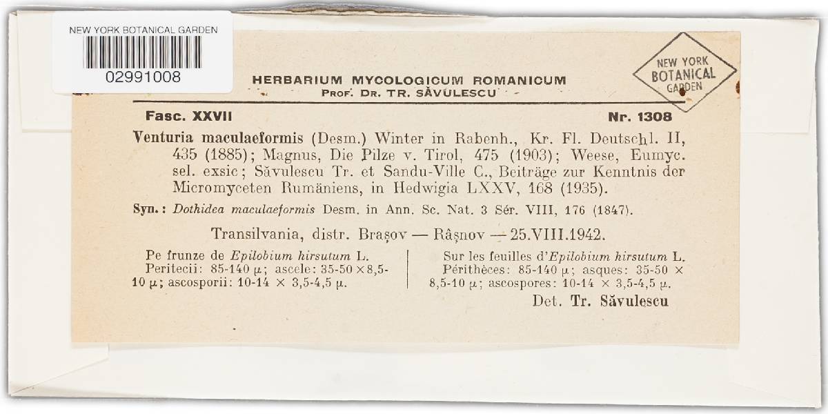 Venturia maculaeformis image