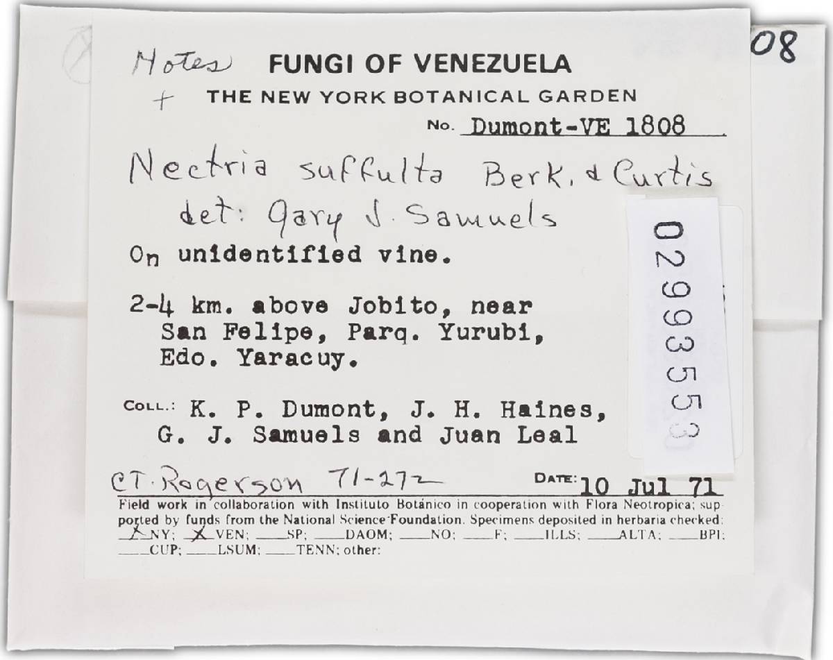 Hydropisphaera suffulta image
