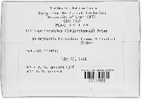Tranzscheliella hypodytes image