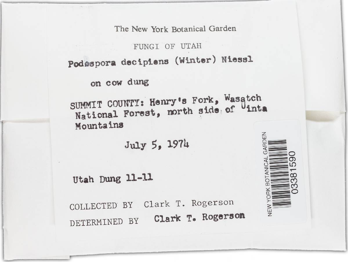 Podospora decipiens image