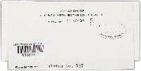 Diatrype stigma image