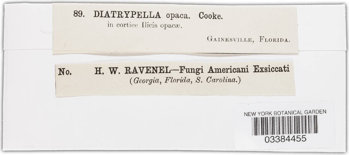 Cryptovalsa opaca image