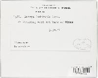 Eutypa ludibunda image