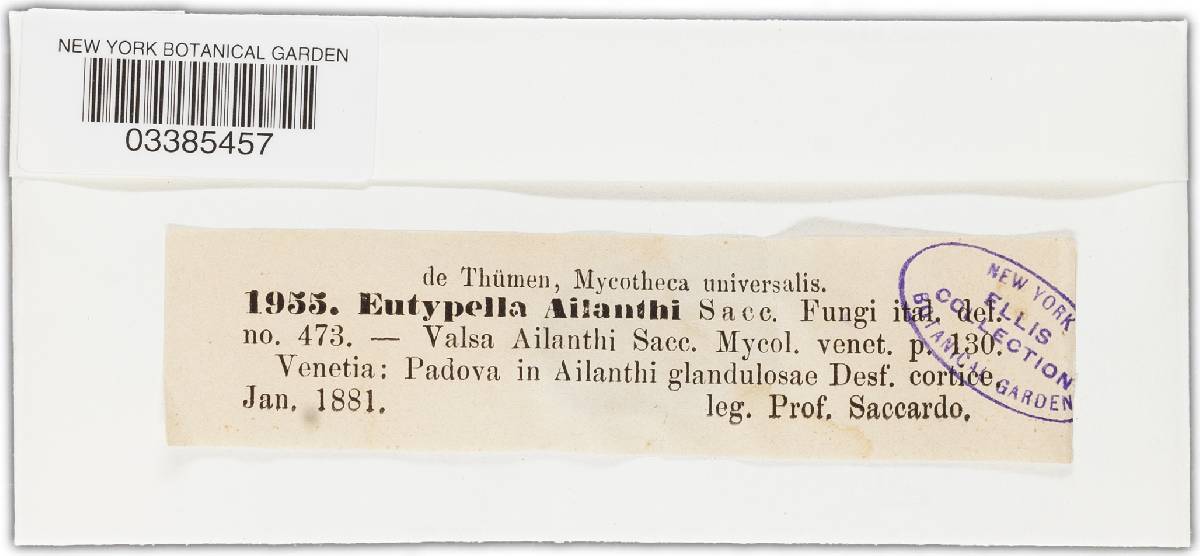 Diaporthe ailanthi image