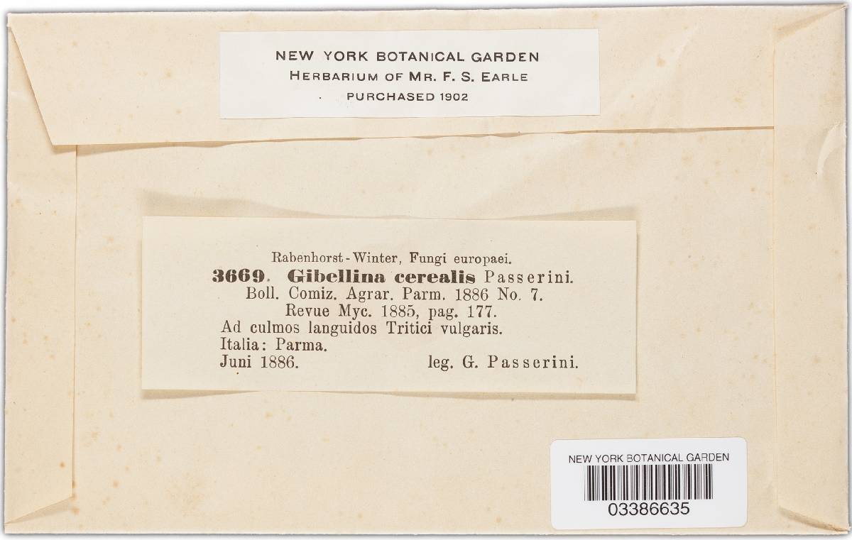 Gibellina image