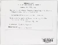 Glomerella cingulata image