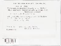 Stromatographium stromaticum image