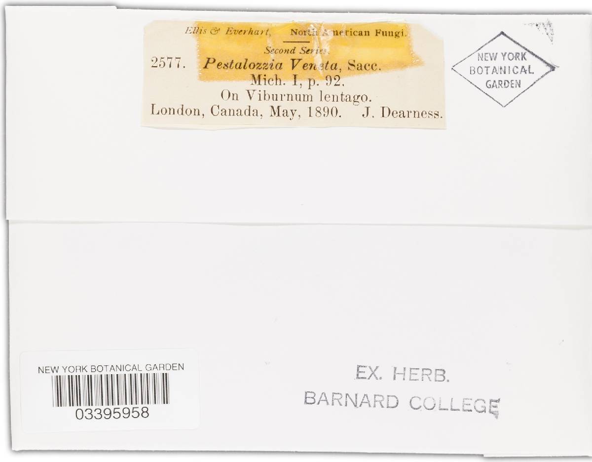 Pestalotia veneta image