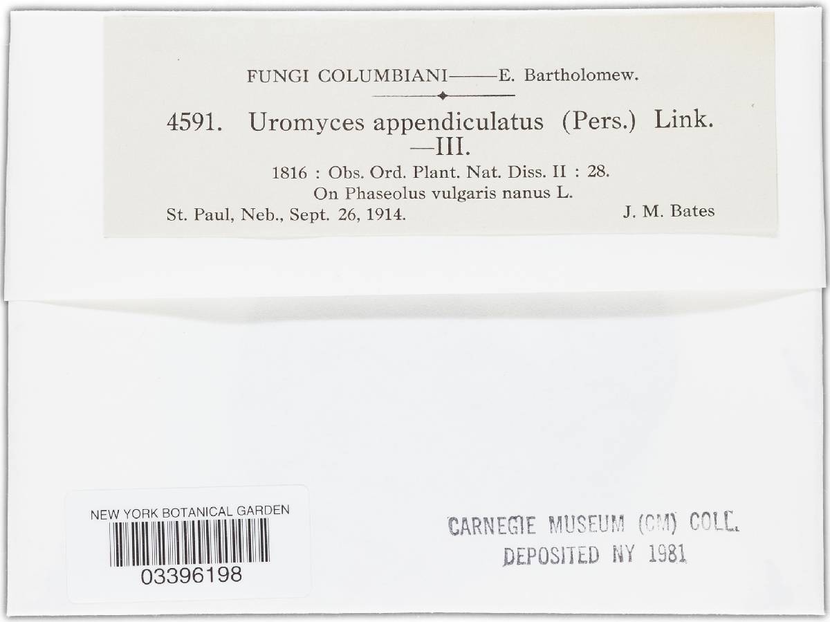 Uromyces appendiculatus image