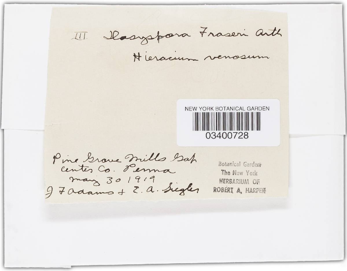 Puccinia fraseri var. fraseri image