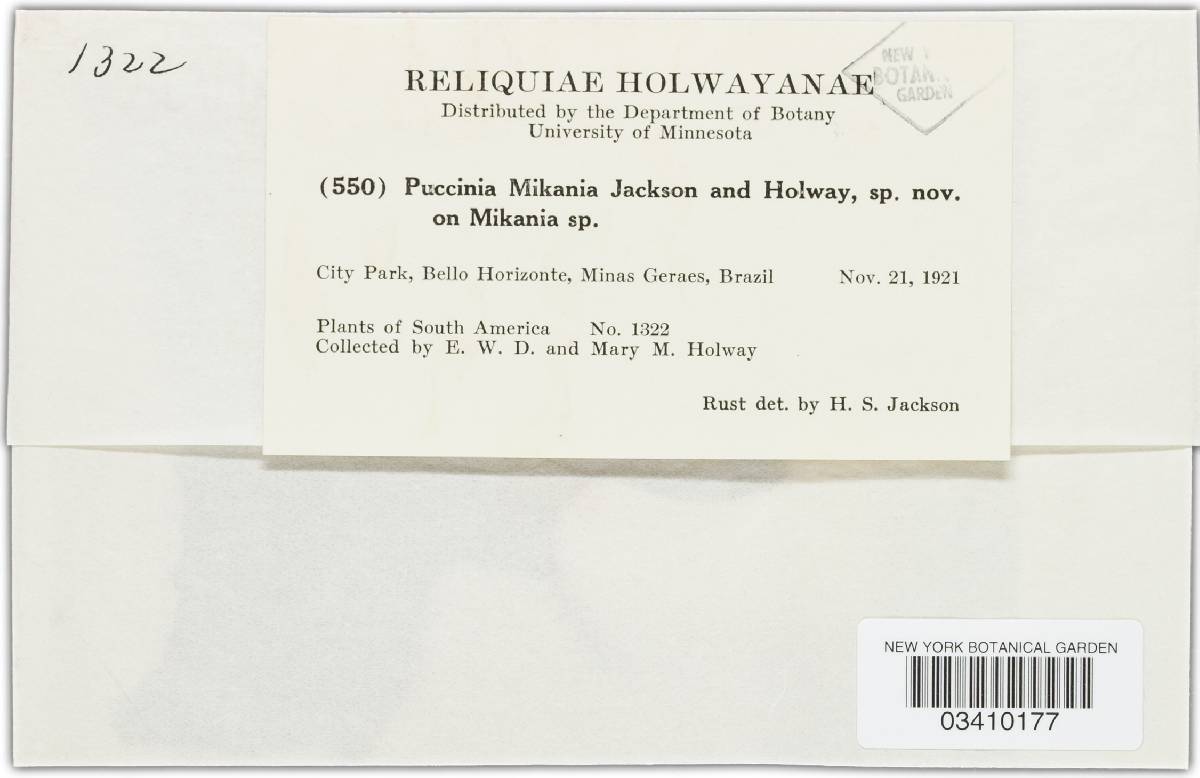 Puccinia mikaniae image
