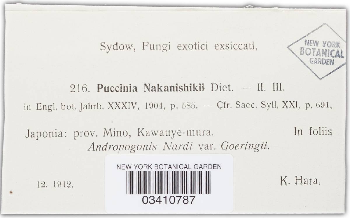 Puccinia nakanishikii image