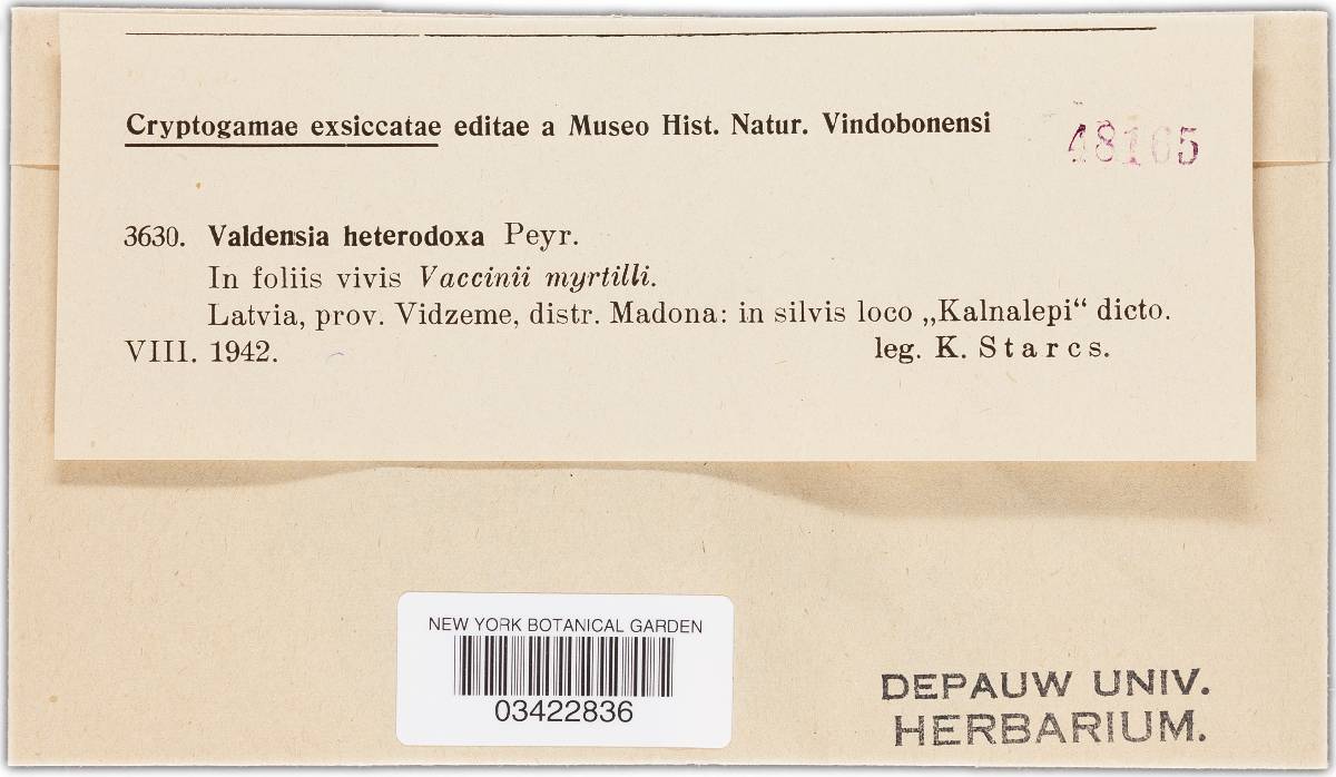 Valdensinia image