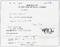 Rutstroemia firma image