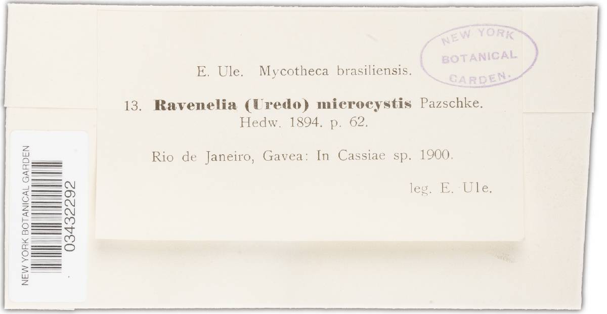 Ravenelia microcystis image