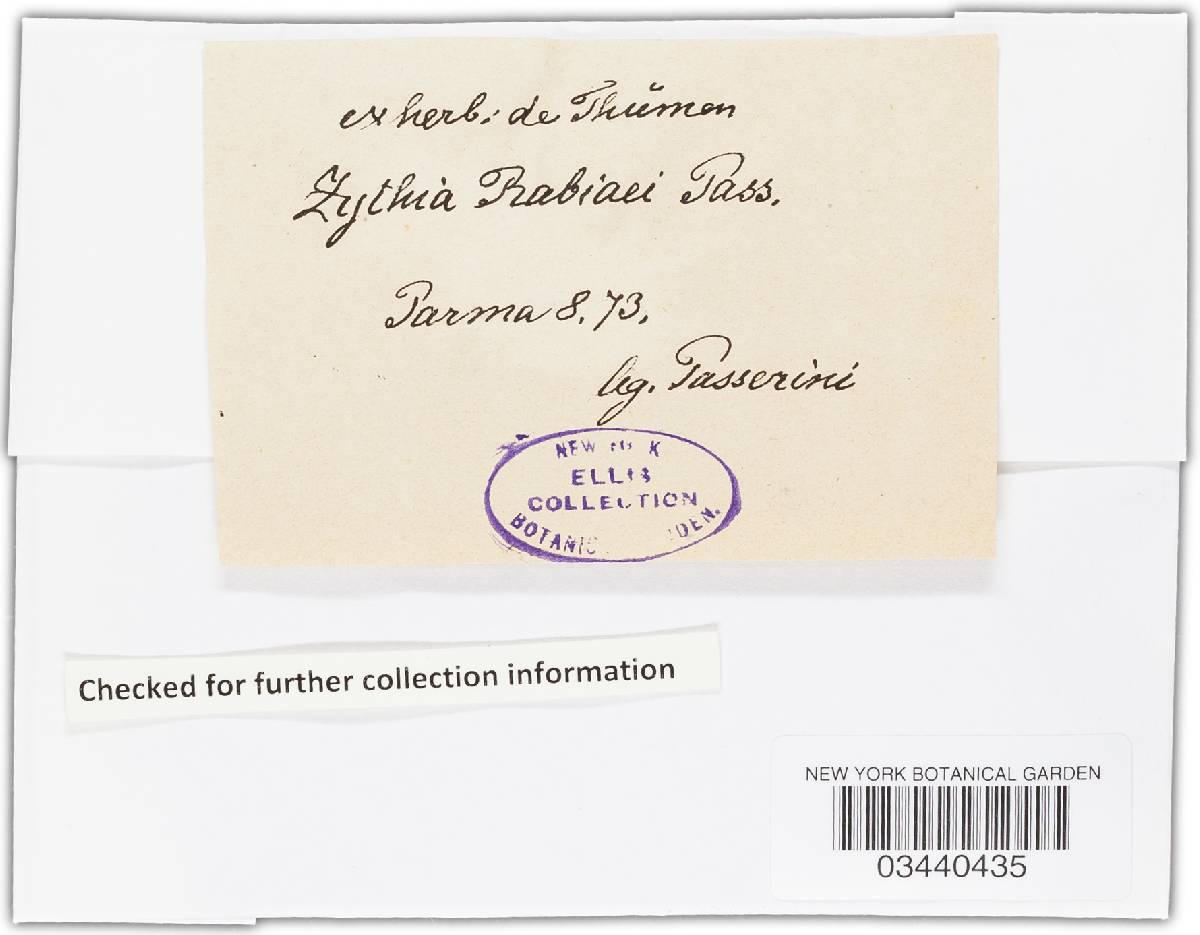 Didymella rabiei image