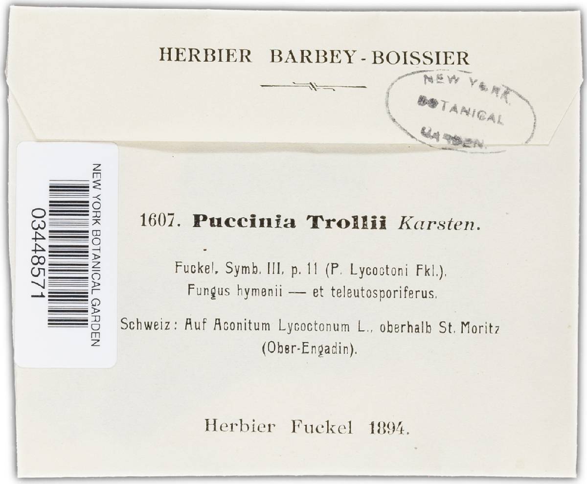 Puccinia trollii image
