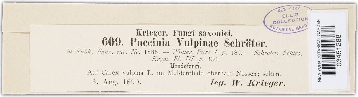 Puccinia vulpinae image
