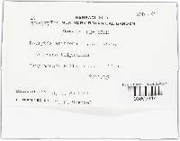 Botrytis affinis image