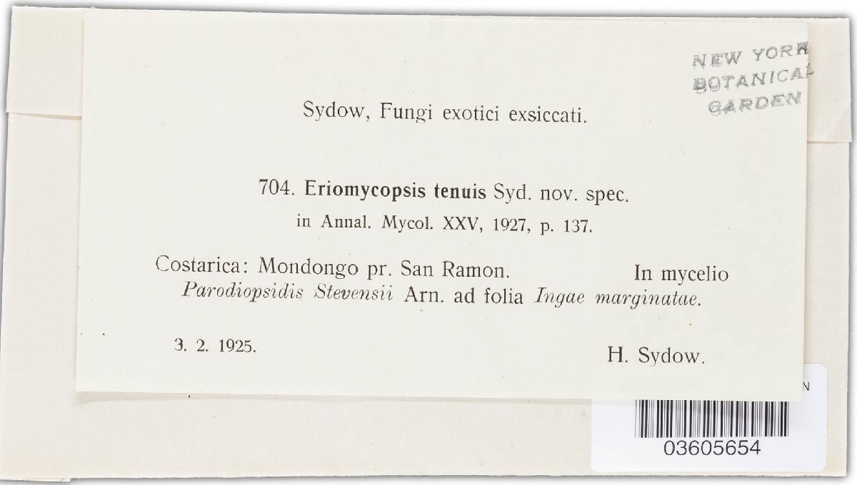 Engyodontium album image