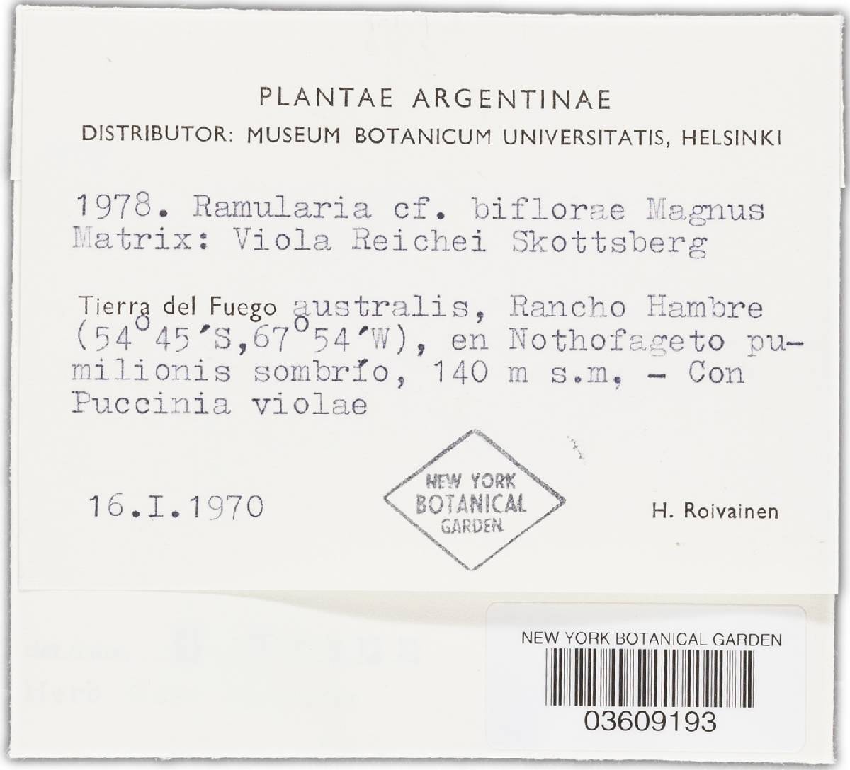Ramularia biflorae image