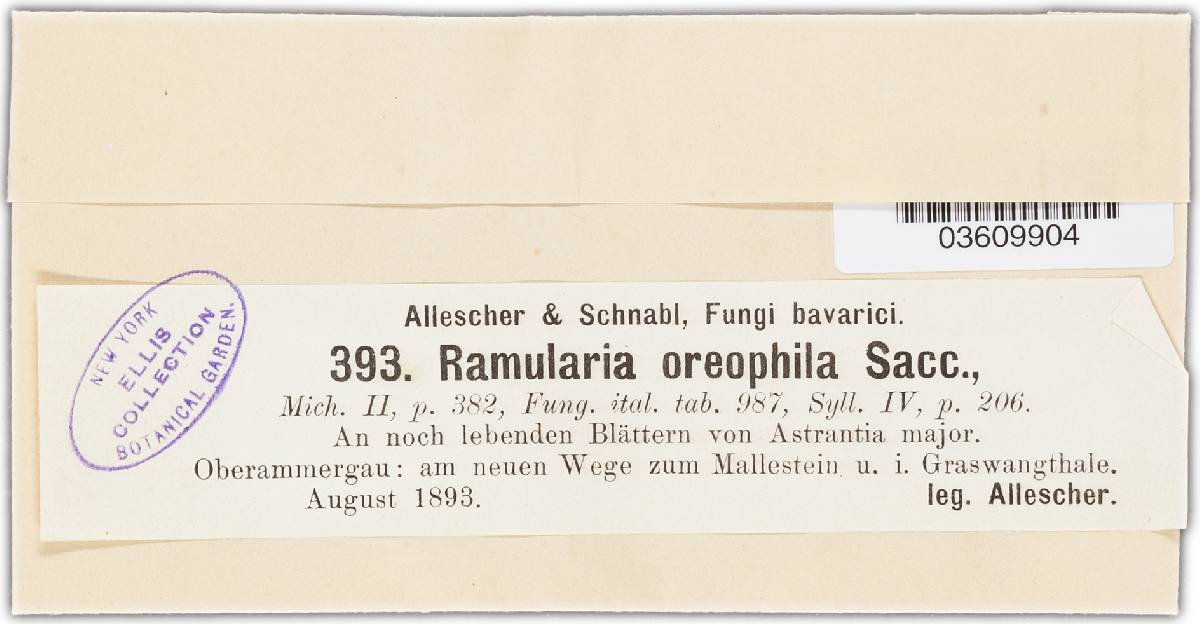 Ramularia oreophila image