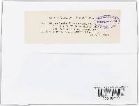 Ramularia didyma image